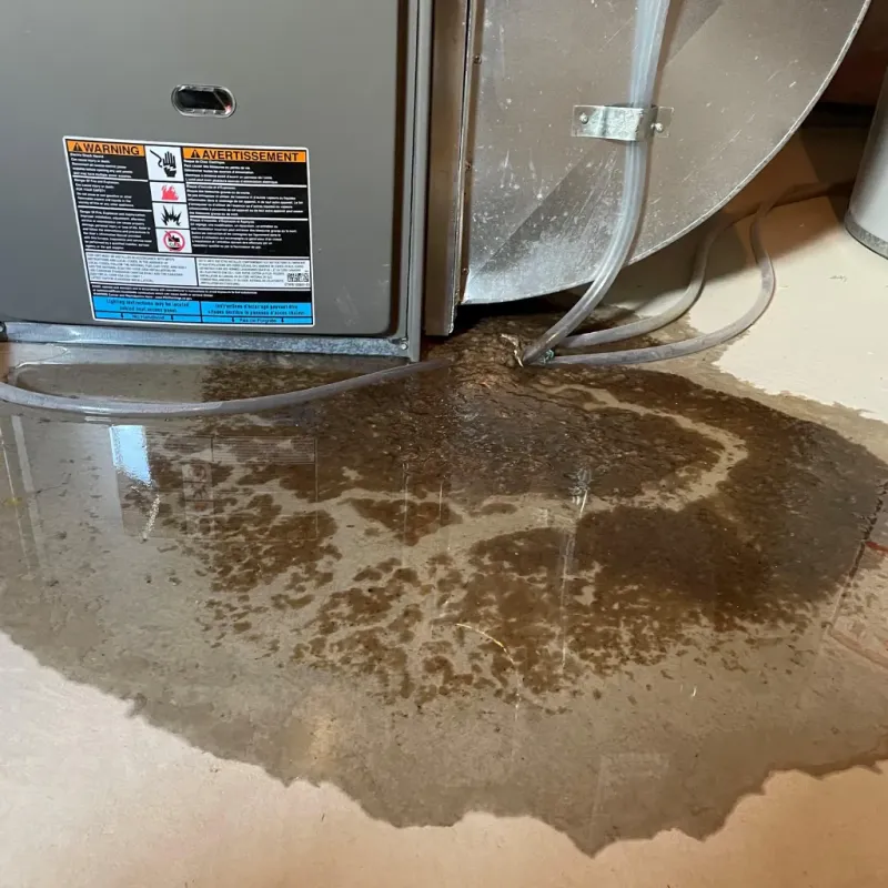 Appliance Leak Cleanup in Knox, IN